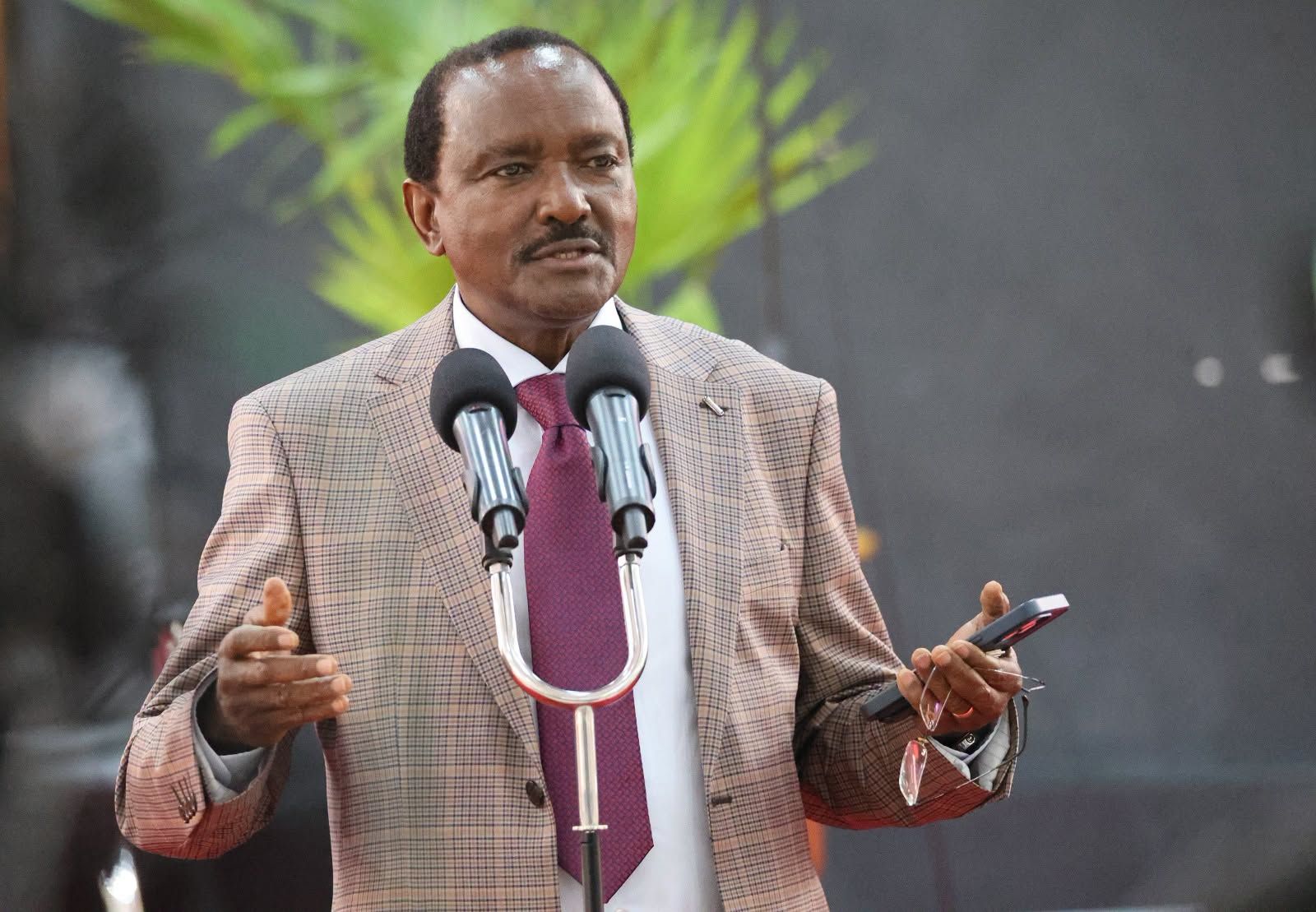 Kalonzo fights back over NYS land allegations