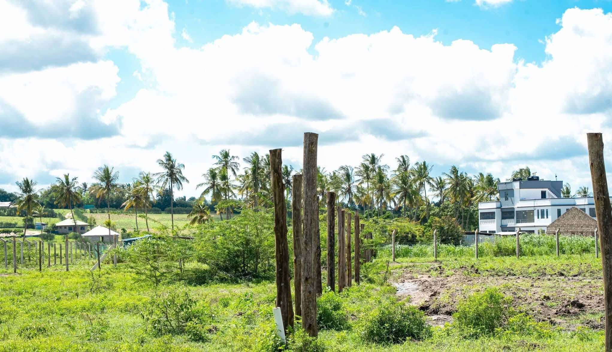 Why land buyers are shifting from Mombasa to Diani, Bofa 