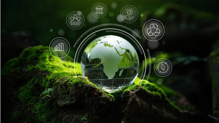 Carbon Credits: Kenya’s new climate gold rush?