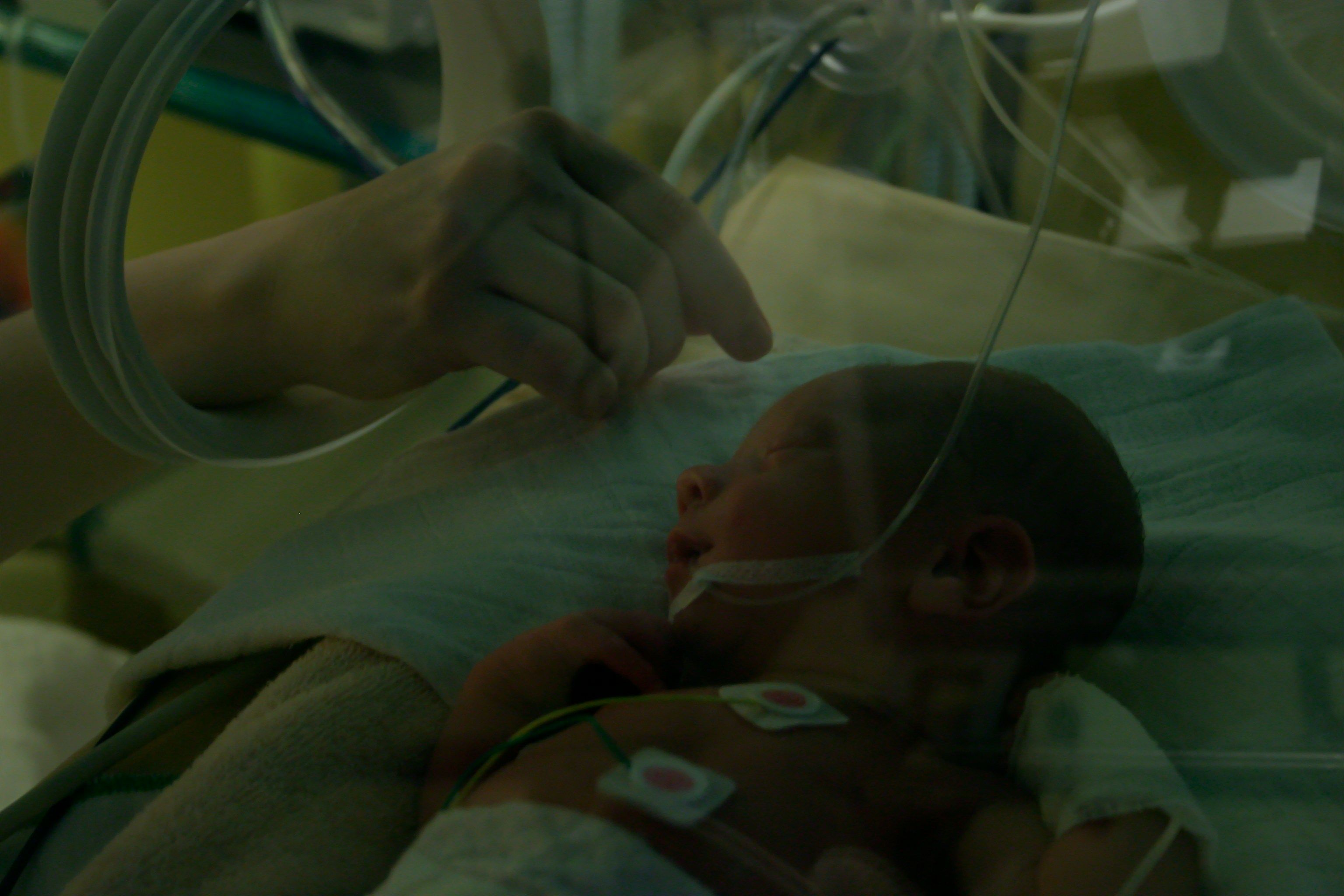 There is only one acceptable path for designer babies