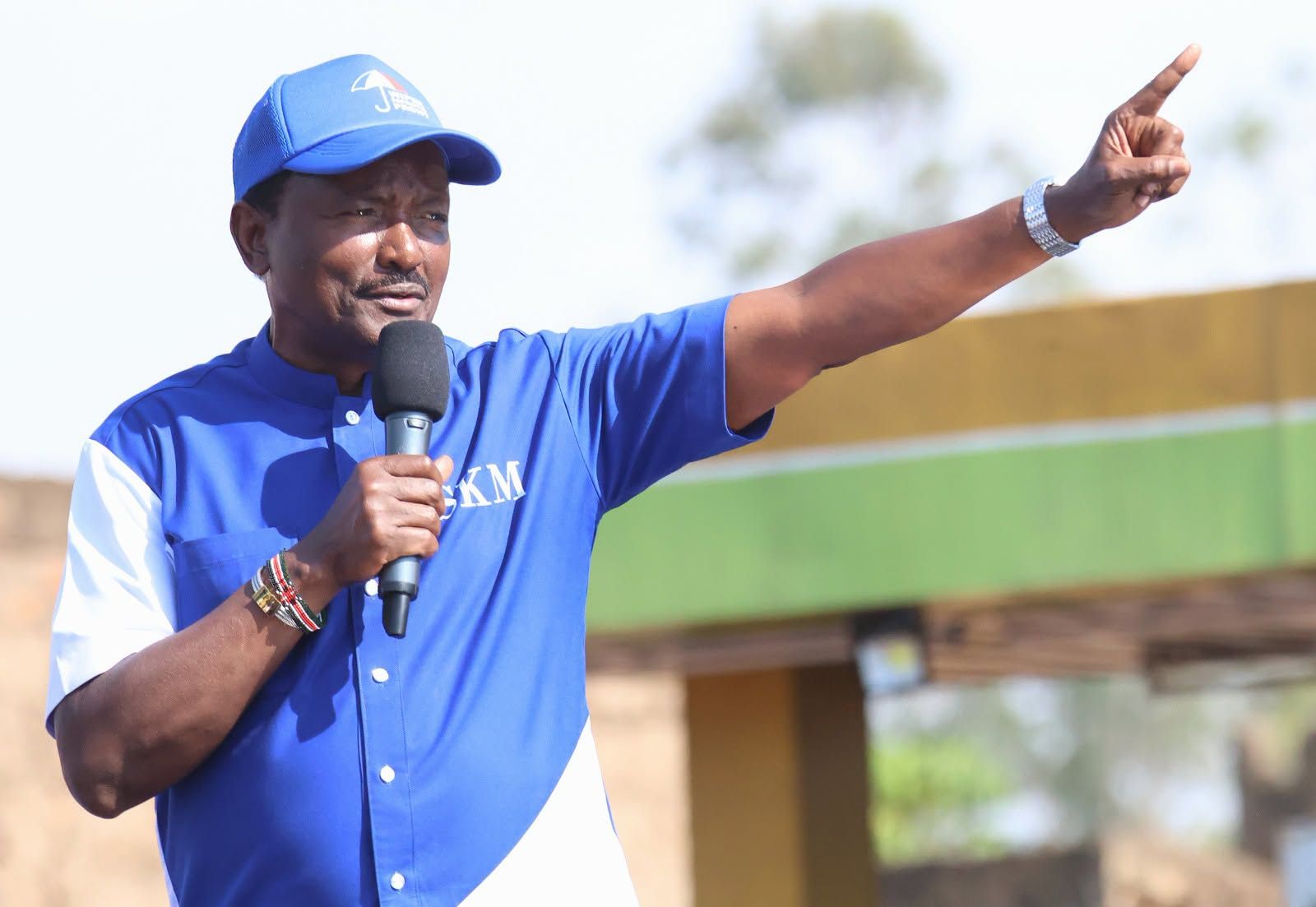 Kalonzo: I did everything to make Raila President